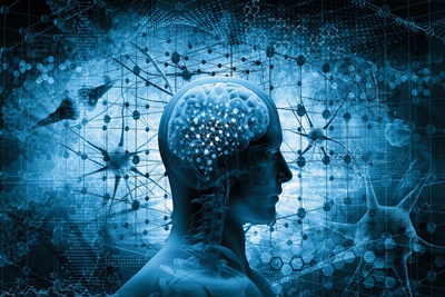 مرگ سلول های مغز مرگ سلول های مغز