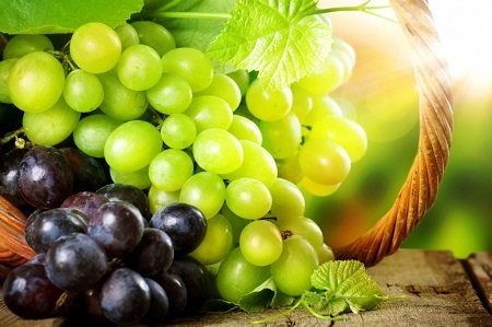انگور چه خواصی دارد و در چه درمانهایی مؤثر است؟