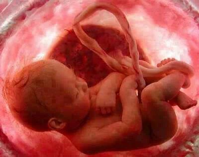 از کجا متوجه شویم جنین در شکم مرده است؟