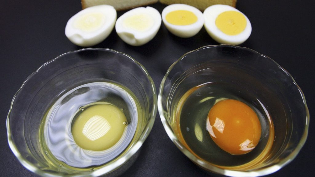 خطرات خوردن تخم مرغ فاسد شده