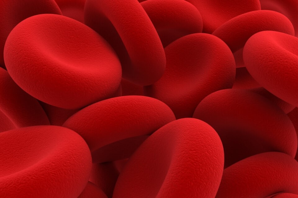 از کجا بدانیم کم خونی داریم؟